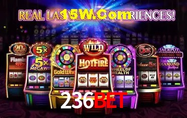 236Bet Salvador - Statistics